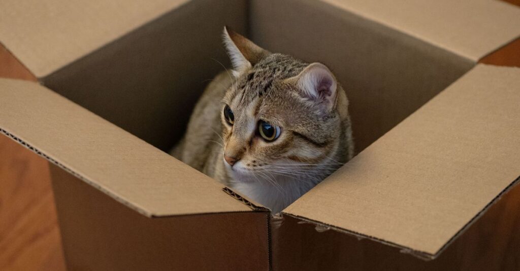 Melhores caixas de areia automaticas para gatos em 2026
