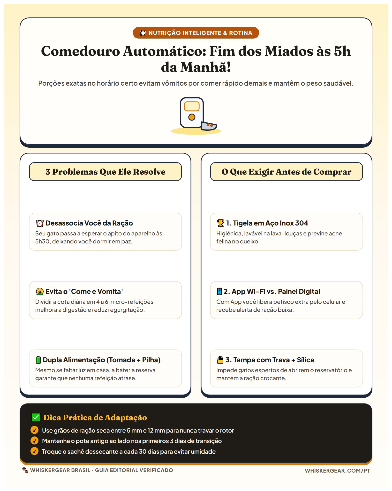 Infográfico Comedouro Automático para Gatos: Rotina e Adaptação