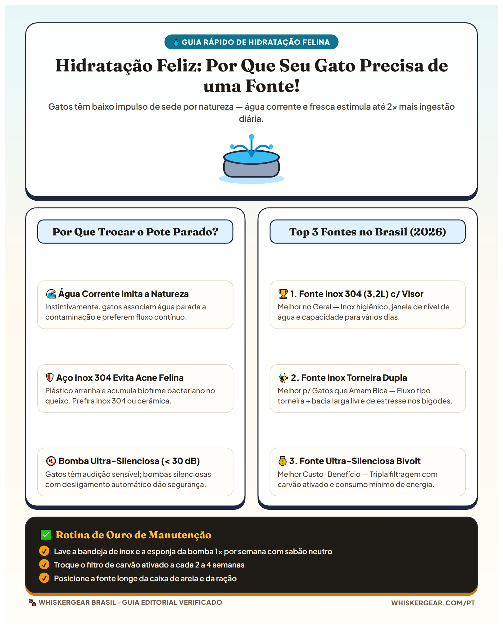 Infográfico Hidratação Feliz: Como Cuidar da Fonte do Gato