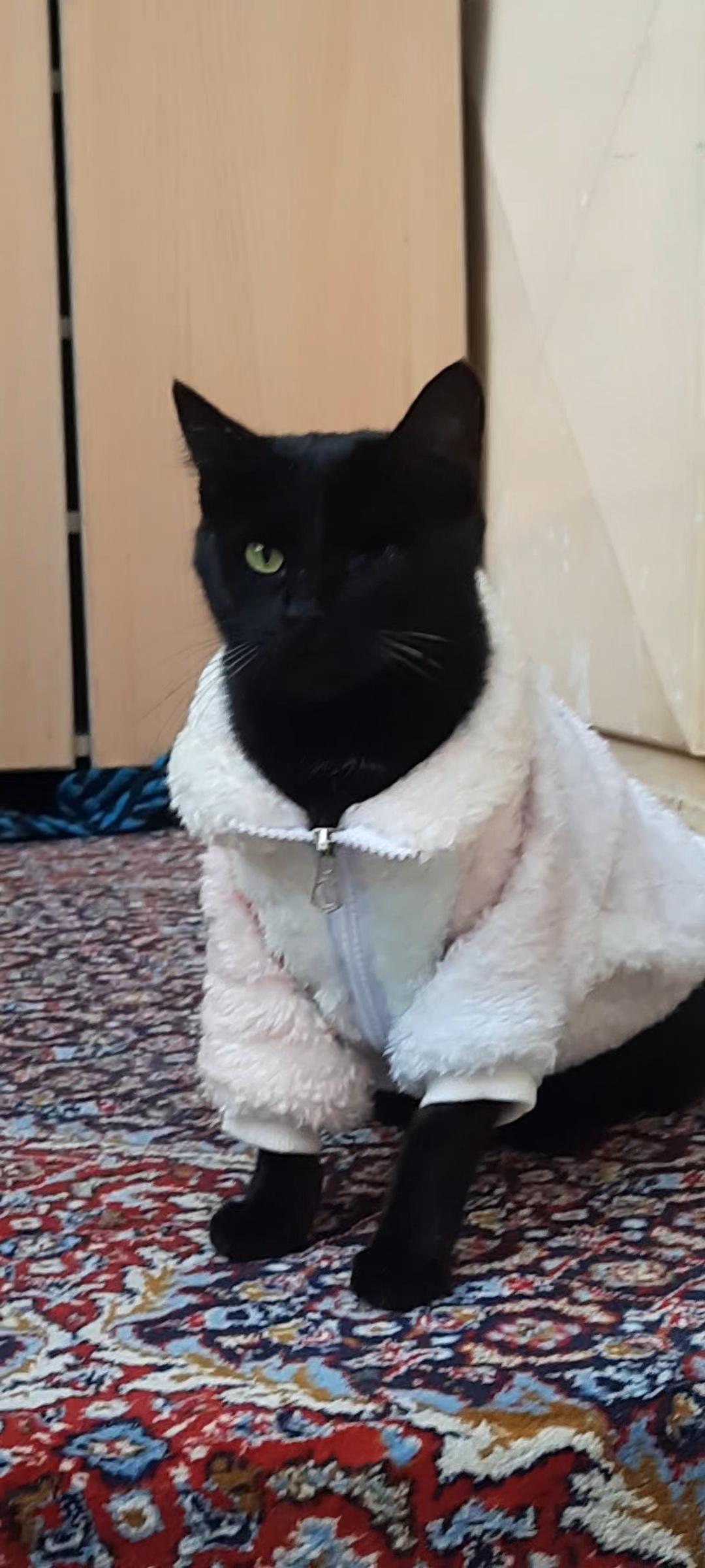 Tilleh wearing a cozy pink fleece hoodie