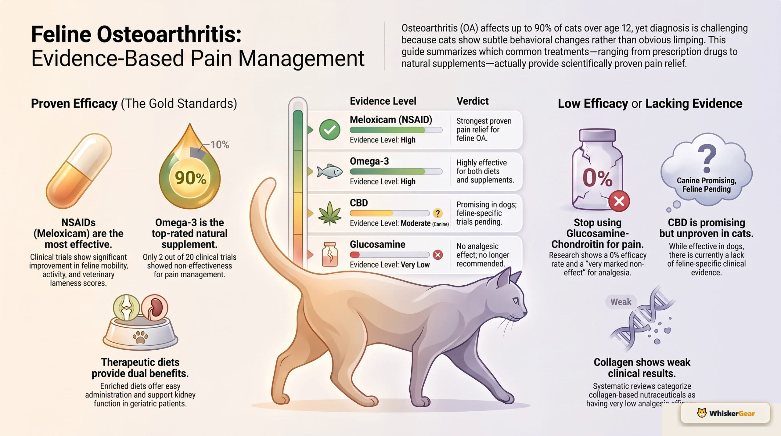 Feline osteoarthritis evidence-based pain management infographic